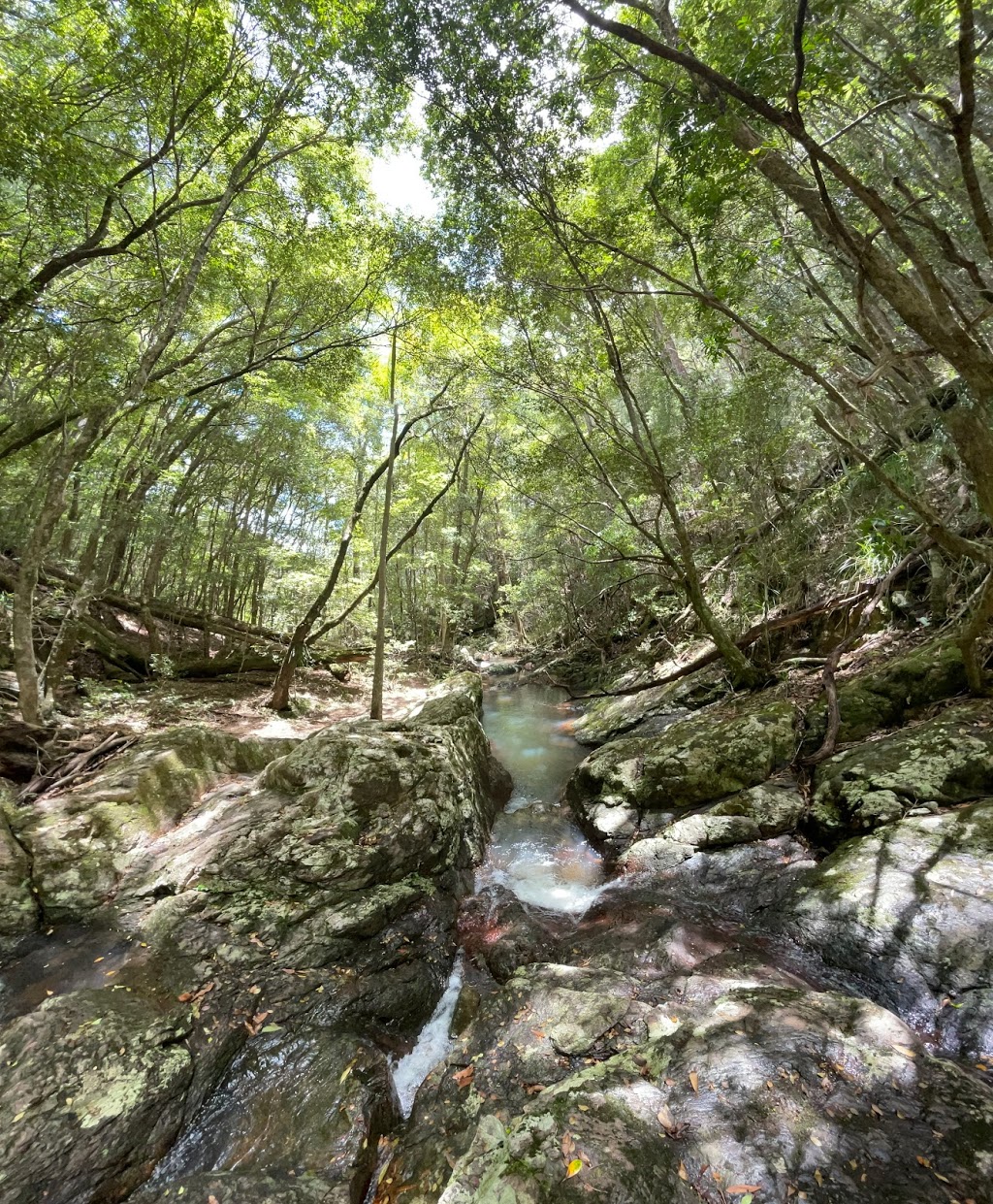 Rowlands Creek | park | Sand Ridge Rd, Rowlands Creek NSW 2484, Australia