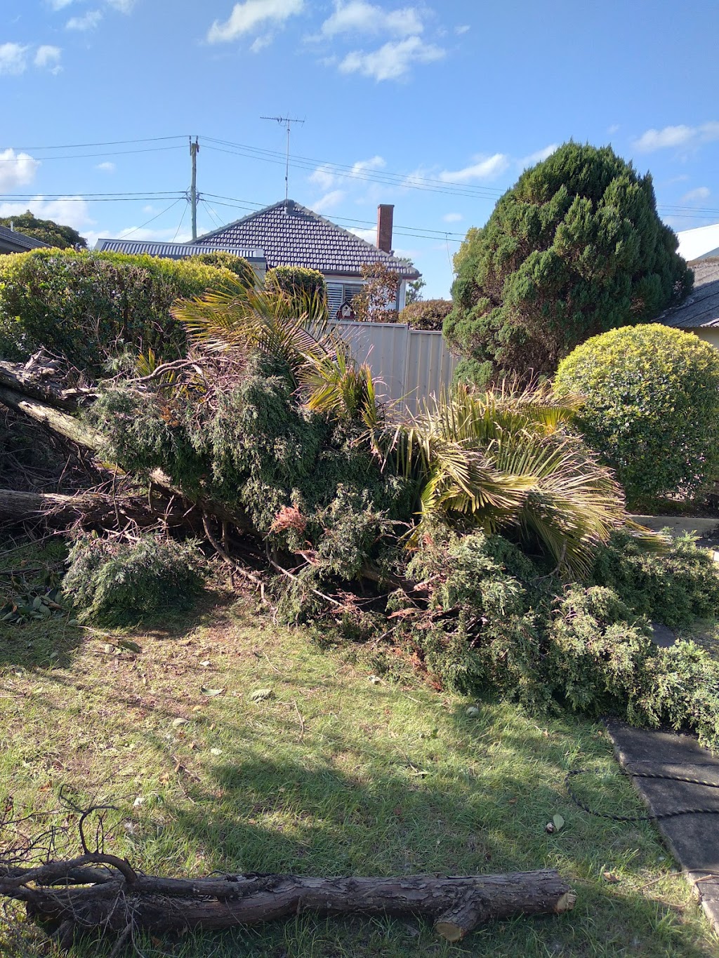 Godfreys Gutter Cleaning & Tree Services | 2 Karwin Rd, Medowie NSW 2318, Australia | Phone: 0432 097 369
