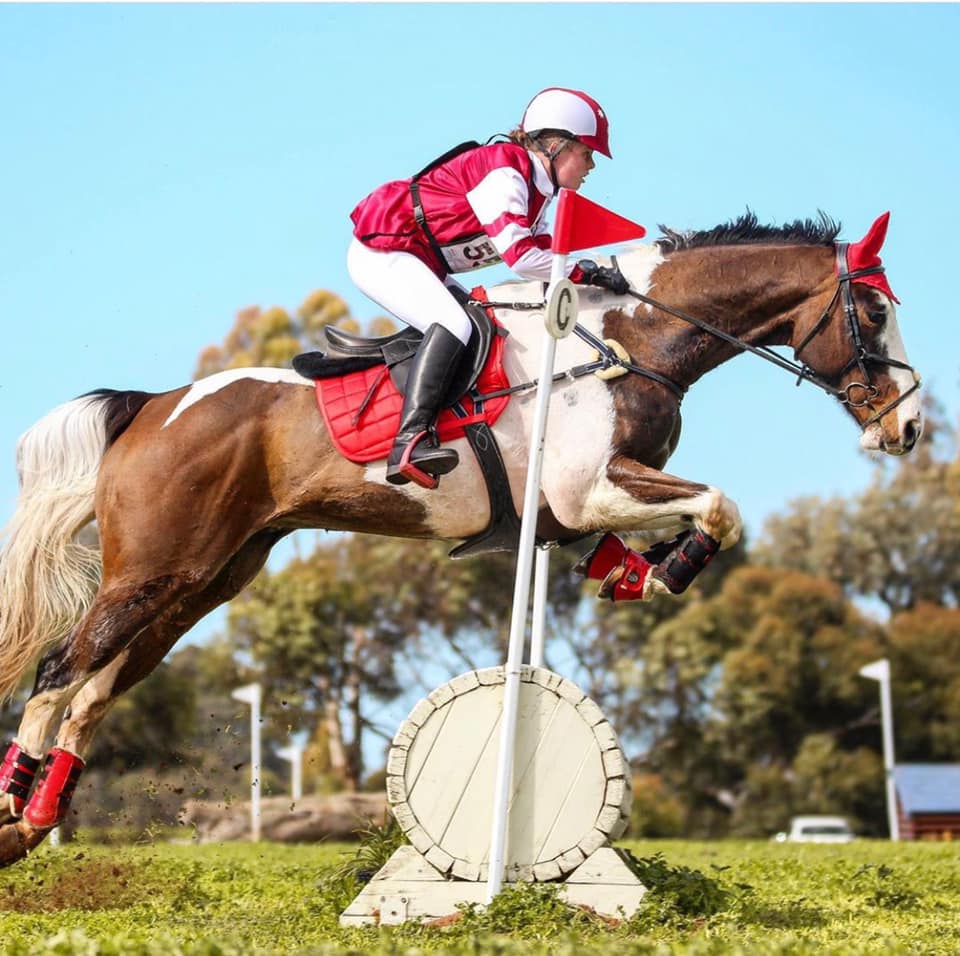 Yoicks Equine Rehabilitation and Eventing | 53 Boundary Rd, Coldstream VIC 3770, Australia | Phone: 0400 556 041