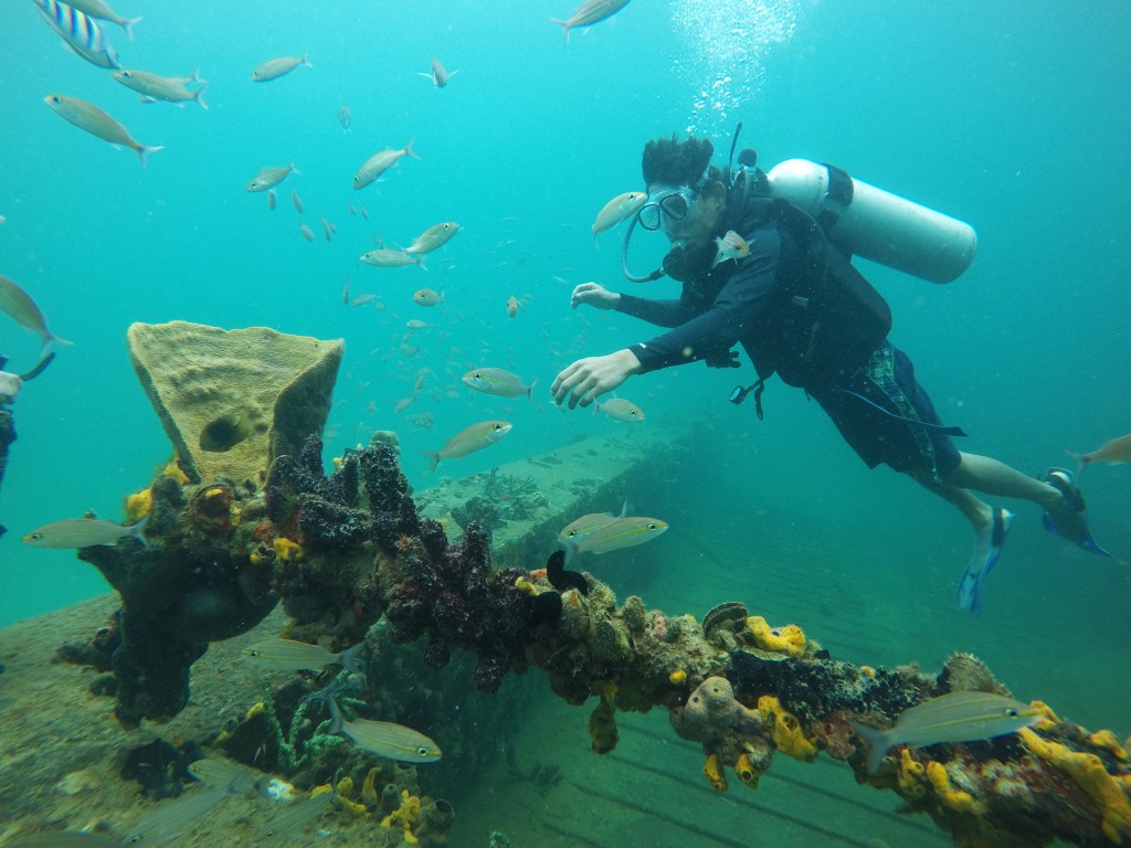 Tobruk Dive Centre | Whale Bay Marina, Buccaneer Dr, Urangan QLD 4655, Australia | Phone: 0409 472 629