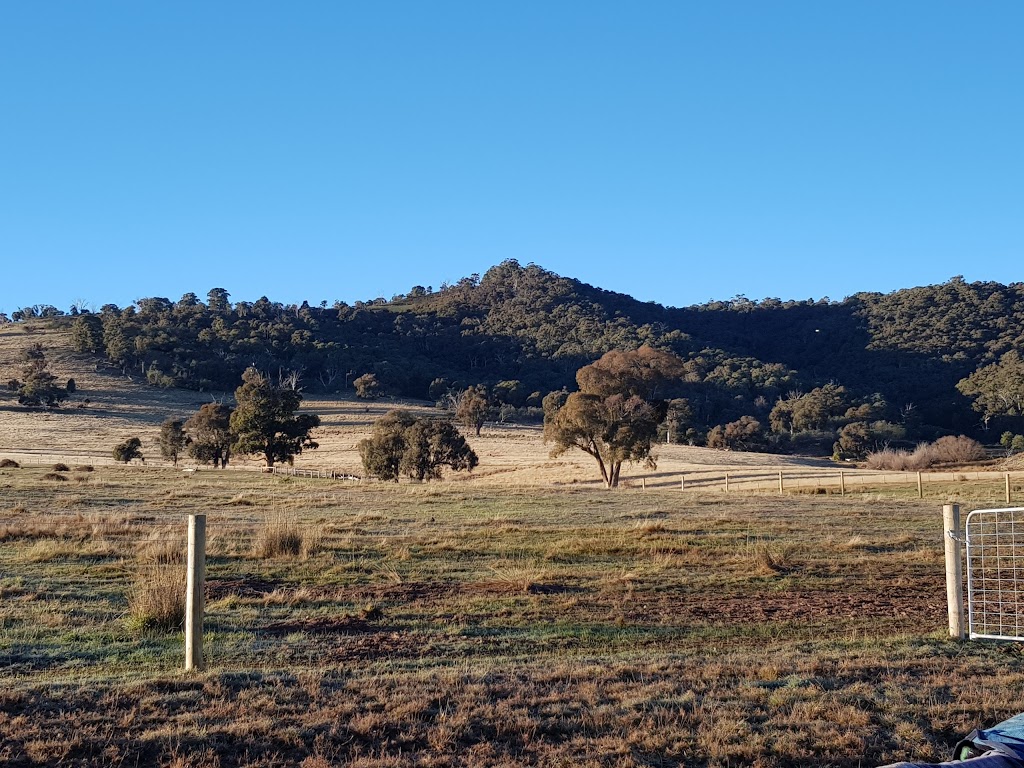 McCormacks Mountain Valley Trail Rides | travel agency | 46 McCormacks Rd, Merrijig VIC 3723, Australia | 0428573708 OR +61 428 573 708