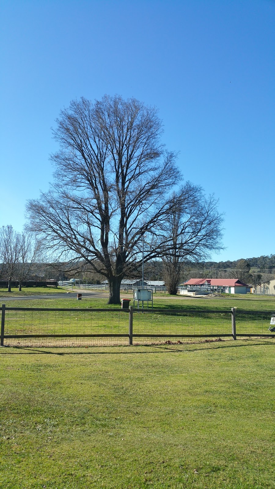 Armidale Showground | 5 Dumaresq St, Armidale NSW 2350, Australia | Phone: 0400 639 630