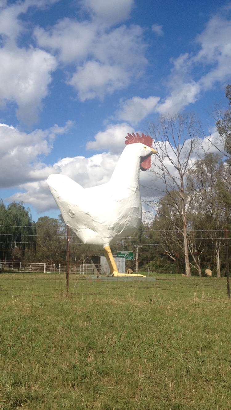 The Big Chook | 350 Mount Vernon Rd, Mount Vernon NSW 2178, Australia | Phone: (02) 9826 1305