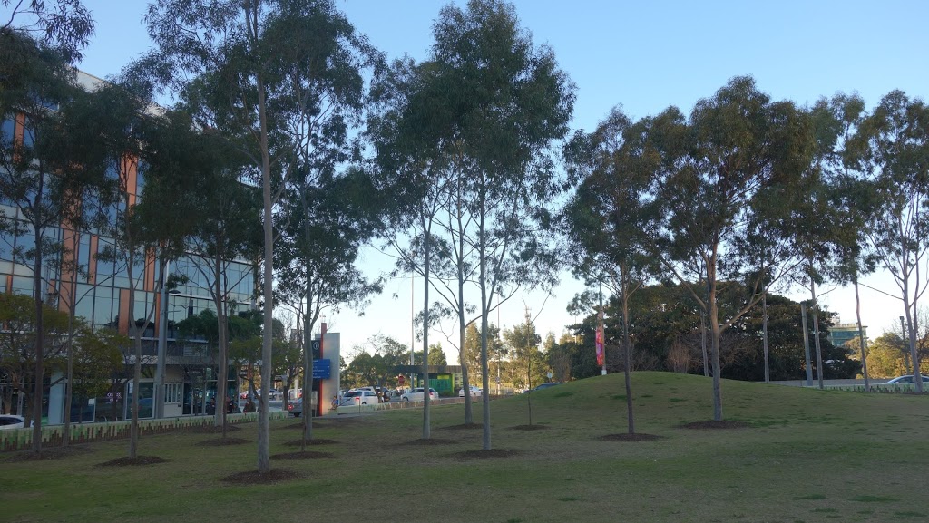 Jacaranda Square | Sydney Olympic Park NSW 2127, Australia