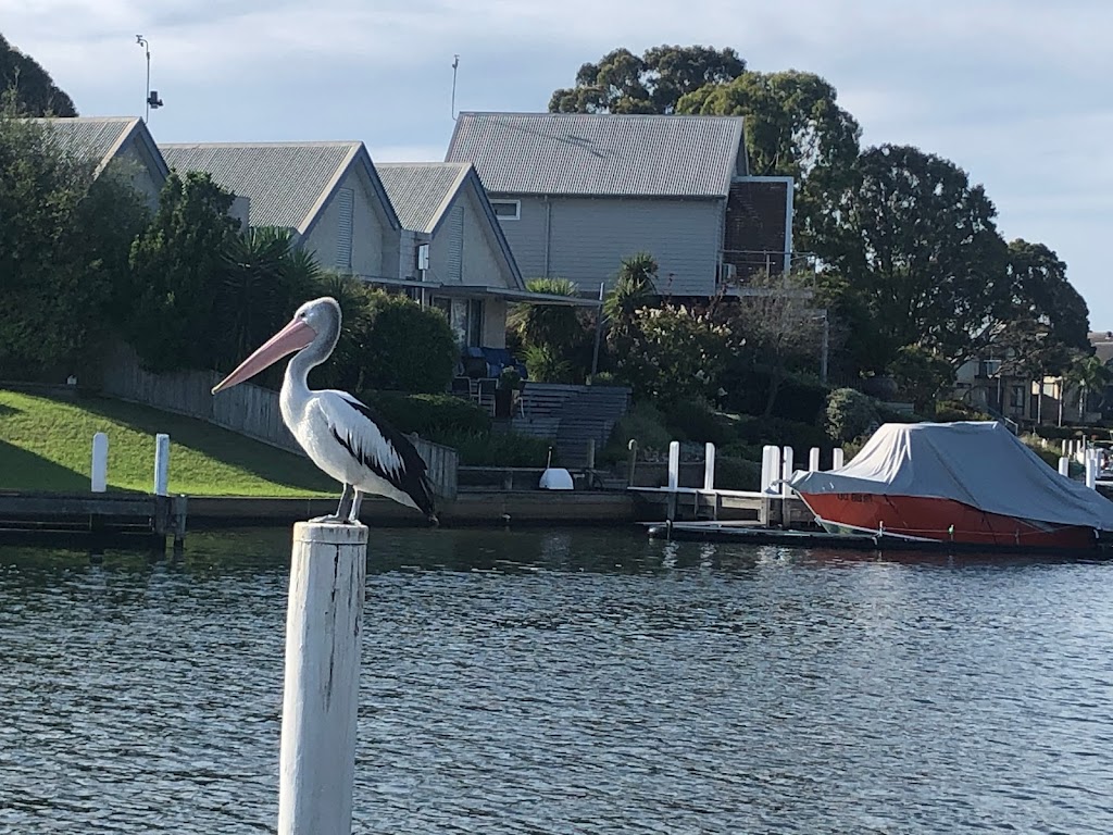 Captains Cove Luxury Apartments | lodging | 19A Mitchell St, Paynesville VIC 3880, Australia | 0412005550 OR +61 412 005 550
