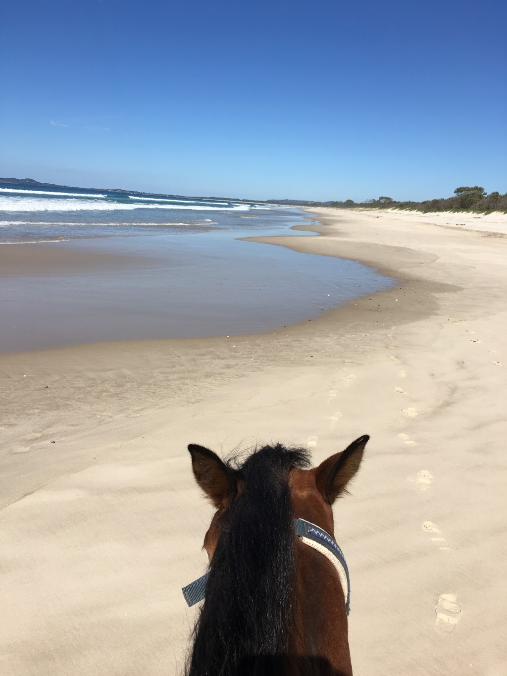 Seahorses Riding Center Beach Ride Meeting Area | S Beach Rd, Brunswick Heads NSW 2483, Australia | Phone: 0404 198 220