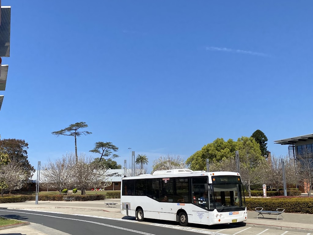 CDC Charter | 157 Sparks Rd, Warnervale NSW 2259, Australia | Phone: 1800 473 267