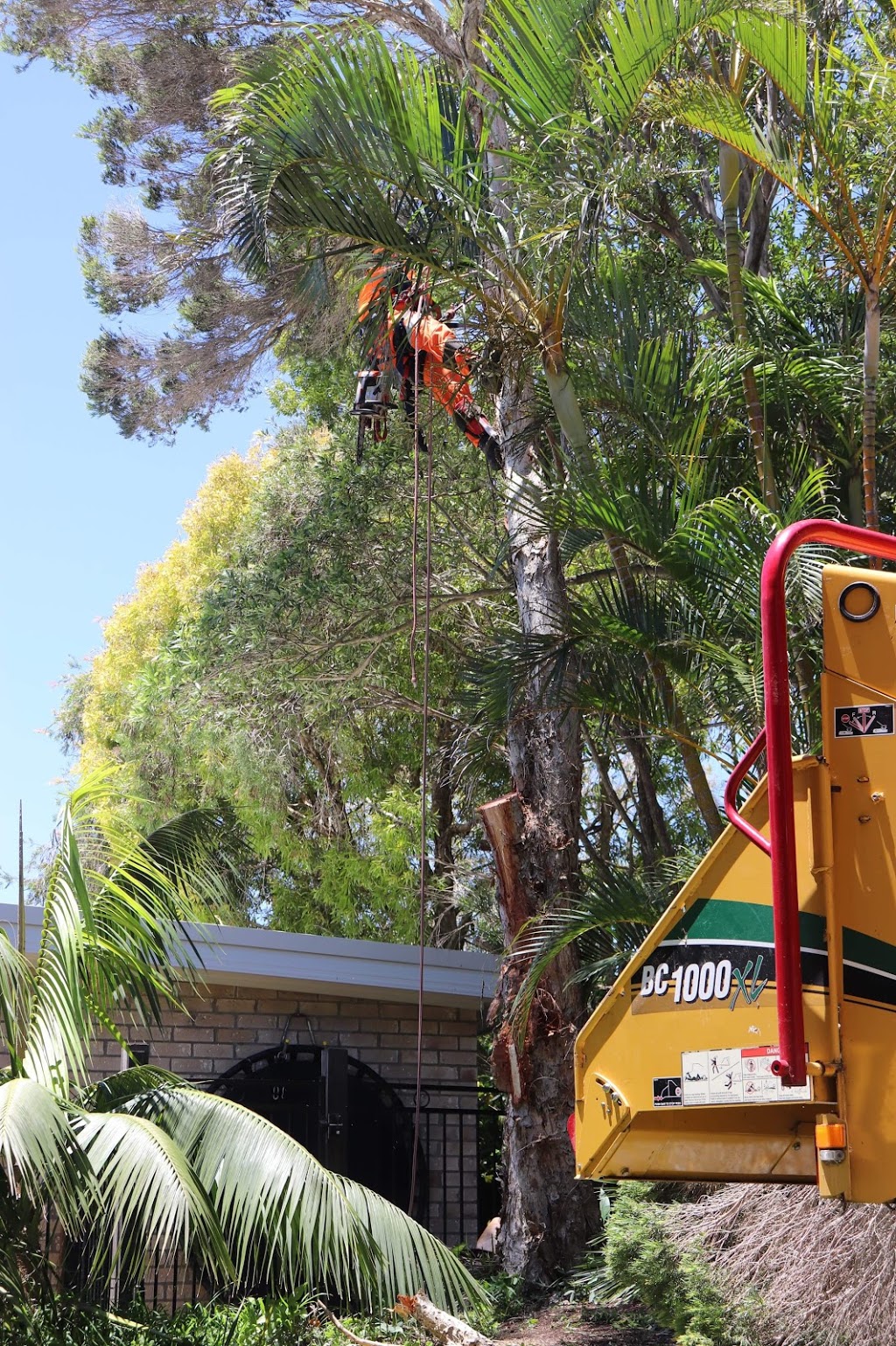 Limb-it-Less Tree Services |  | Korora Basin Rd, Korora NSW 2450, Australia | 0447590884 OR +61 447 590 884