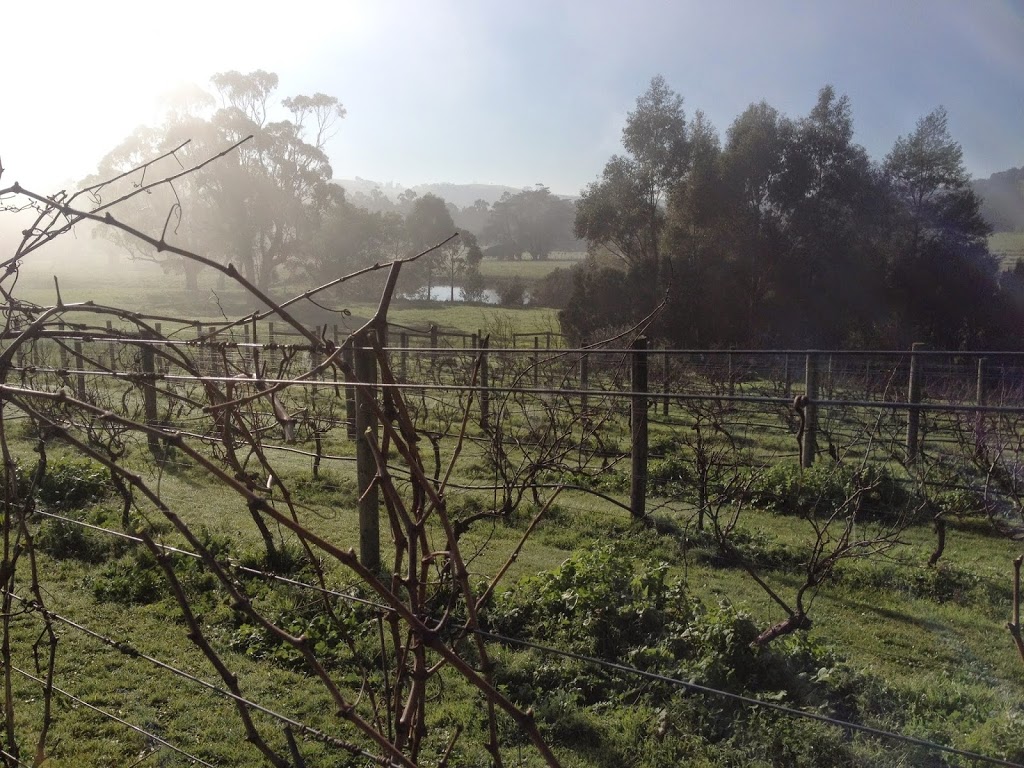 Gippsland Wine Company | 6835 S Gippsland Hwy, Loch VIC 3945, Australia | Phone: 0477 555 235