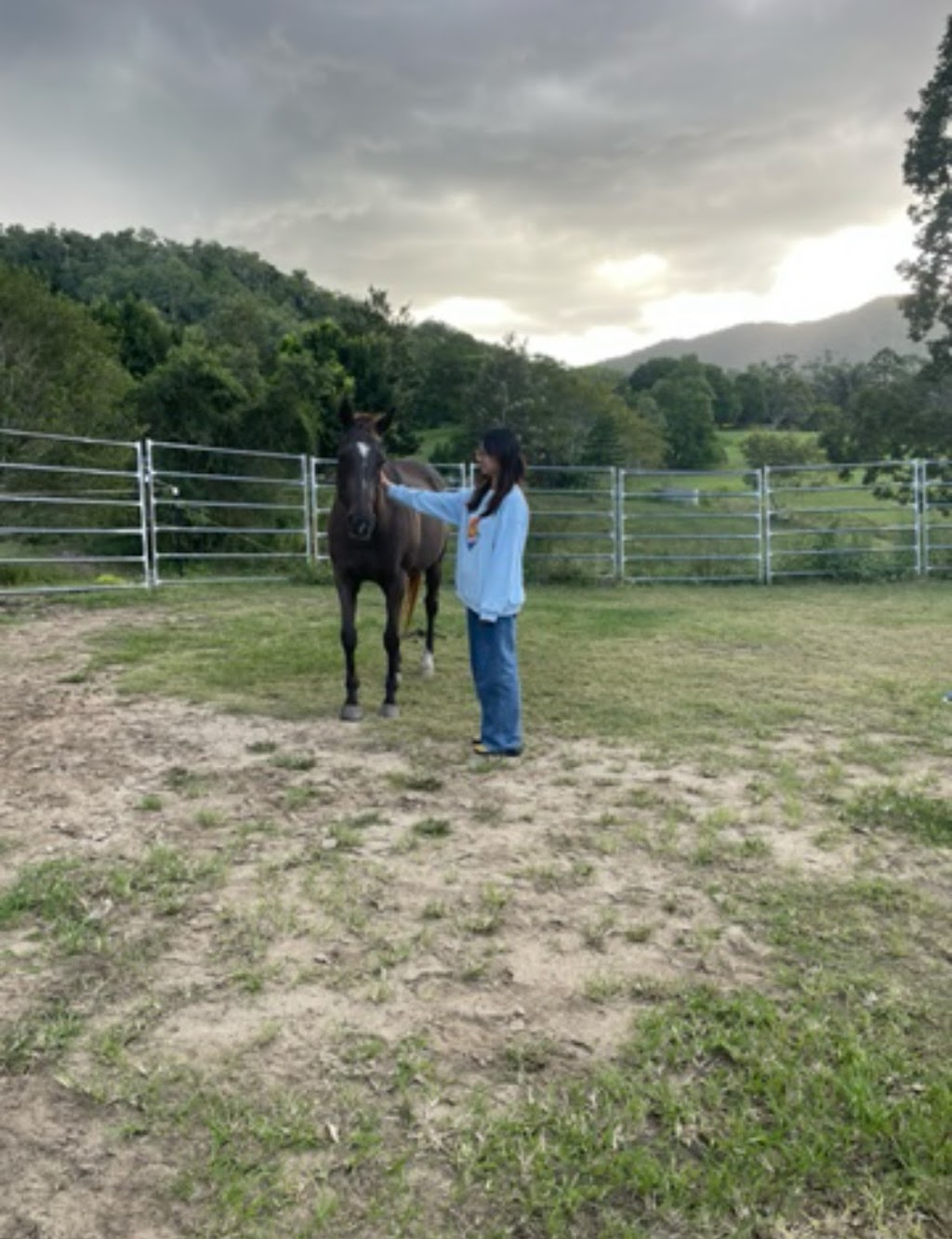 Brumbies Hollow Cabin Stay and Equine Experiences | *, Highvale QLD 4520, Australia | Phone: (07) 3289 7912
