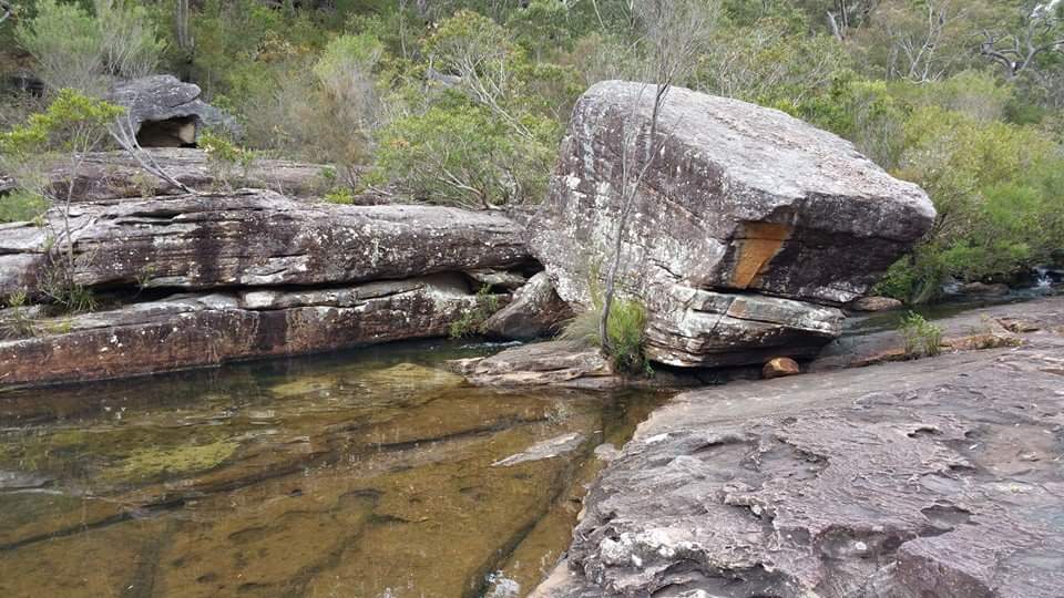 Engadine Track | park | Engadine Track, Royal National Park NSW 2233, Australia