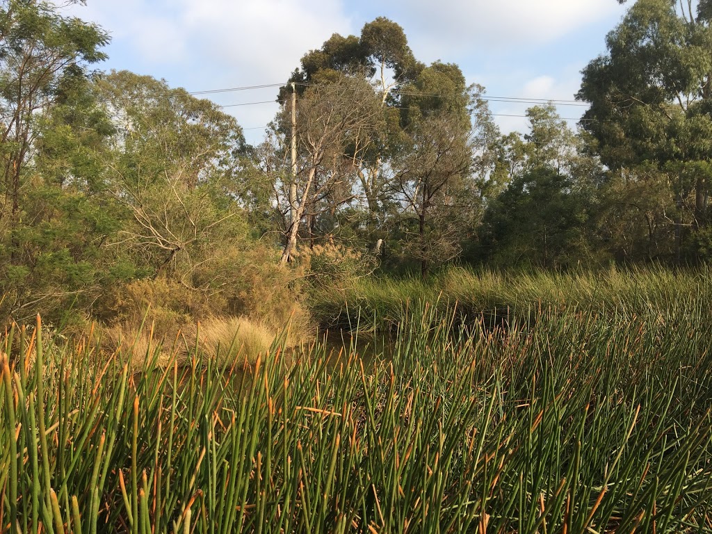 Koonung Creek Wetlands | Mont Albert North VIC 3129, Australia