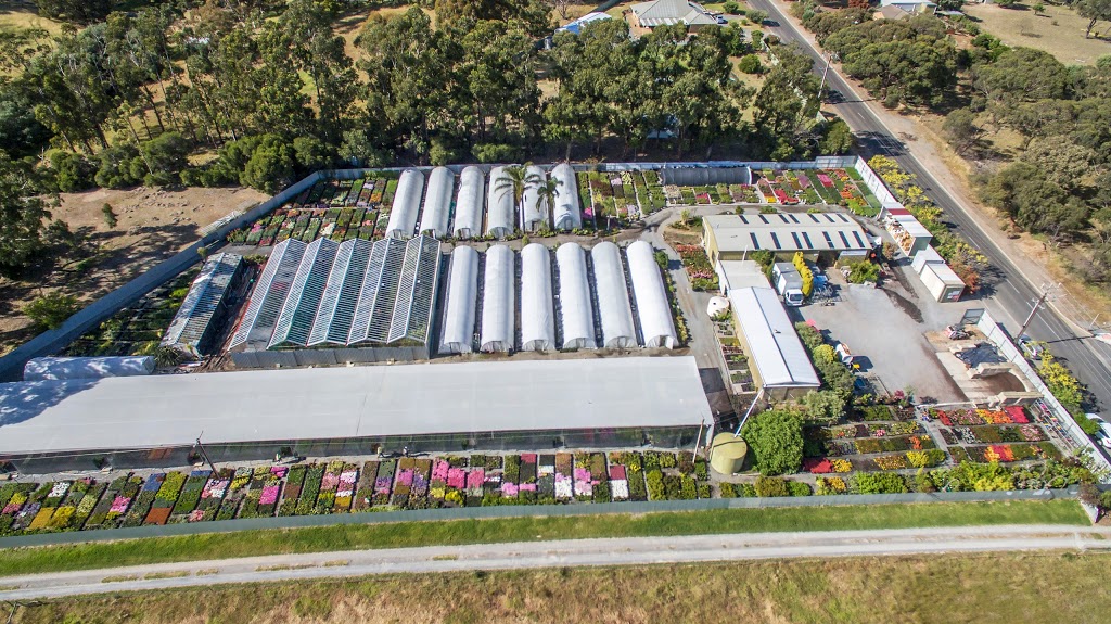 Adelaide Plant Growers |  | 594 States Rd, Onkaparinga Hills SA 5163, Australia | 0883847176 OR +61 8 8384 7176