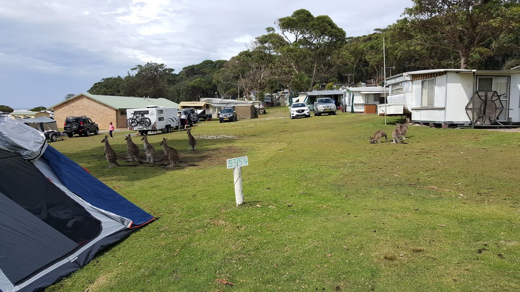 Merry Beach Caravan Park | lodging | 46 Merry Beach Rd, Kioloa NSW 2539, Australia | 0244571065 OR +61 2 4457 1065