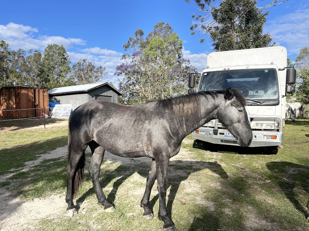 The Ranch on Clarence | 9995 Clarence Way, Louisa Creek NSW 2469, Australia | Phone: 0408 752 181