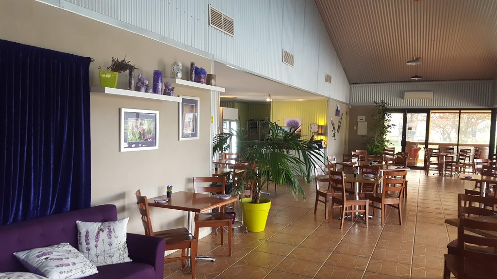 Lavender Bistro | restaurant | 6 Cranleigh St, West Swan WA 6055, Australia | 0892507711 OR +61 8 9250 7711