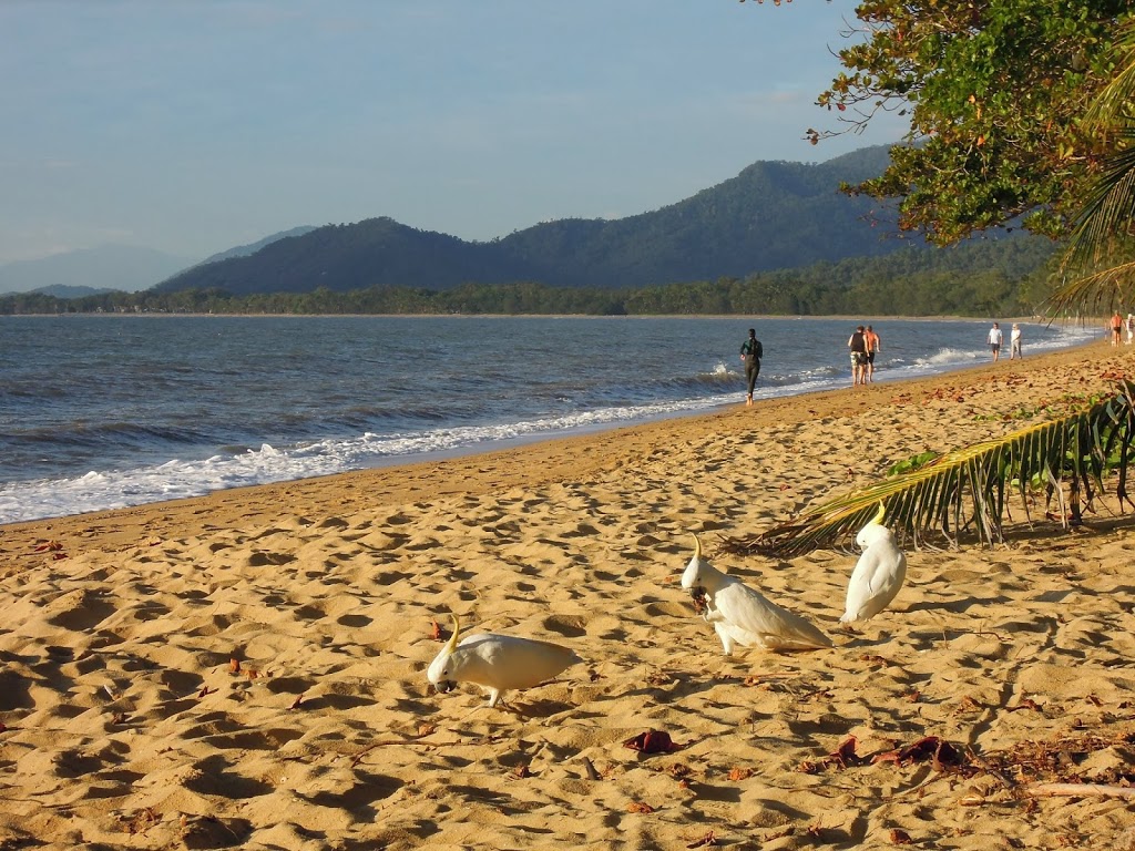 Williams Esplanade Reserve | park | Williams Esplanade, Palm Cove QLD 4879, Australia | 0740443044 OR +61 7 4044 3044