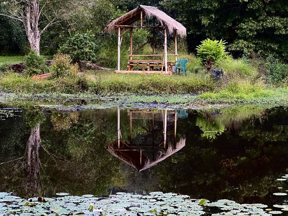 Bamboo Masterclass Workshop at Djanbung Gardens | 74 Cecil St, Nimbin NSW 2480, Australia | Phone: (02) 6689 1755