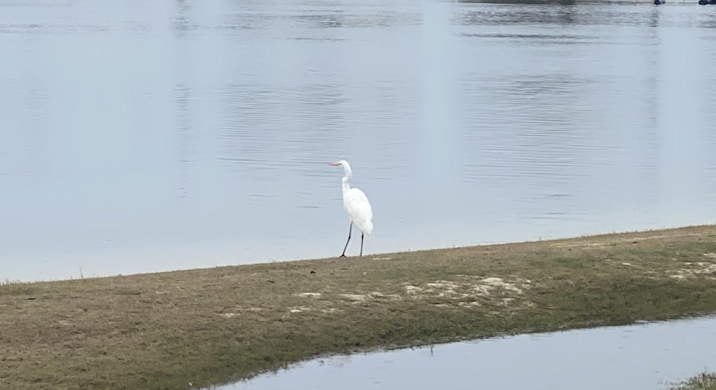 Clara Cove Waterfront Apartments | 12 Clara St, Kalimna VIC 3909, Australia | Phone: 0458 987 904