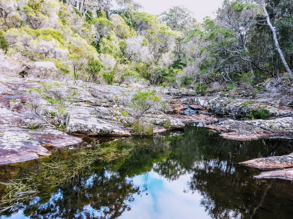 Light to Light walk | park | Boyds Tower Rd, Edrom NSW 2551, Australia | 0264955000 OR +61 2 6495 5000