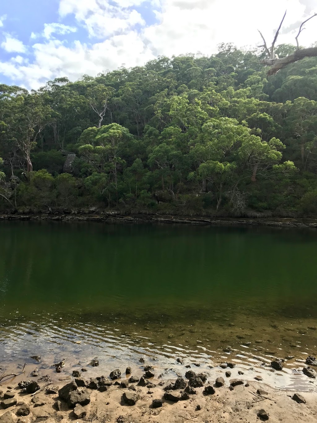 Reids Flat picnic area carpark | parking | Royal National Park NSW 2233, Australia