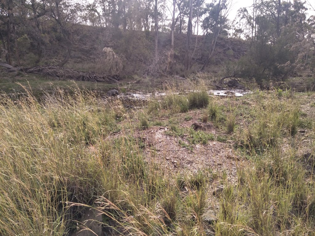 Cockburn river campground | Unnamed Road, Limbri NSW 2352, Australia