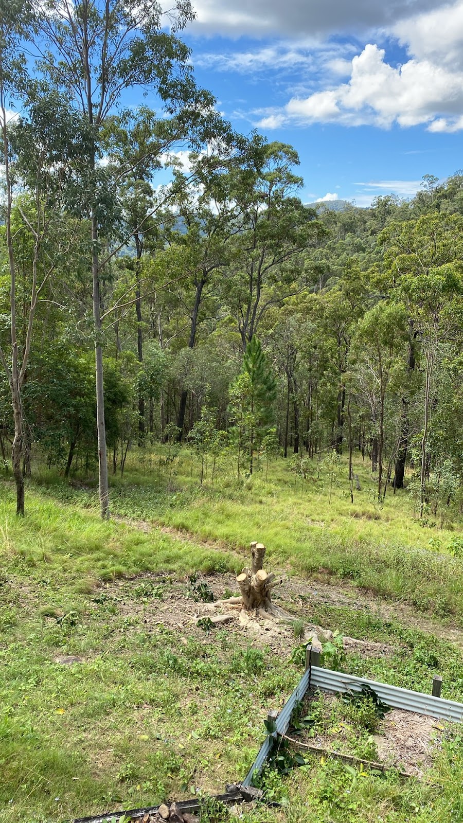 Jungle Jess Pty Ltd | 50 Garlinge Ct, Bonogin QLD 4213, Australia | Phone: 0480 473 902