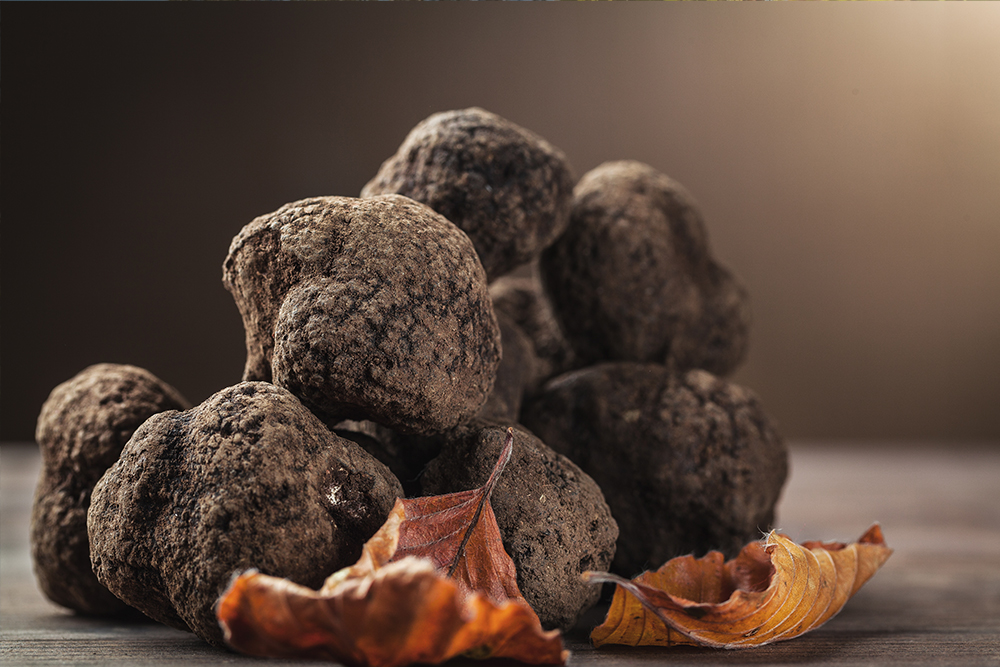 Scotch Hill Truffle Farm | 119 McDougal Rd, Neerim South VIC 3831, Australia | Phone: 0417 426 427