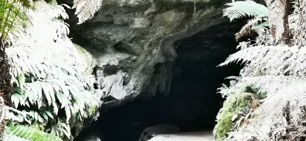 Marakoopa Cave | 330 Mayberry Rd, Mayberry TAS 7304, Australia | Phone: (03) 6363 5182