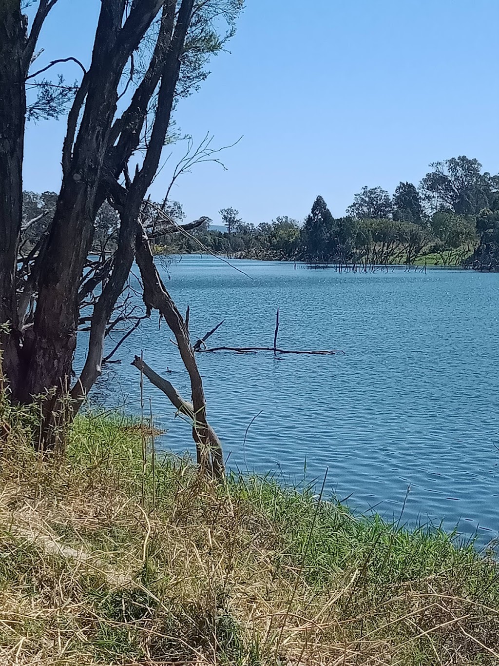 Paradise Lost on the Burnett | Millers Rd, Duingal QLD 4671, Australia | Phone: 0429 661 683