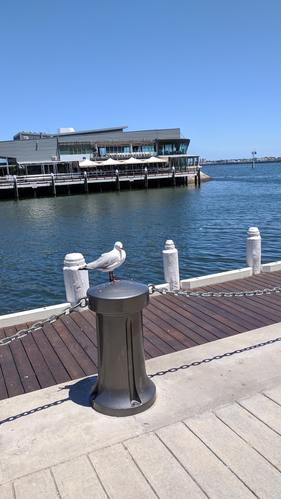 IGA X-press Beacon Cove | 103 Beach St, Port Melbourne VIC 3207, Australia | Phone: (03) 9645 1355