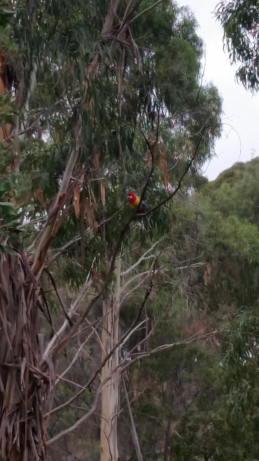 Kismet Creek Reserve | Sunbury VIC 3429, Australia