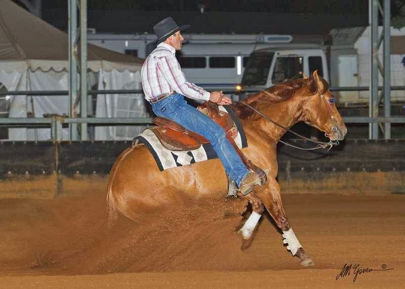 Glenn Browitt Riding Instructor | 129 Tyabb-Tooradin Rd, Somerville VIC 3912, Australia | Phone: 0437 058 512