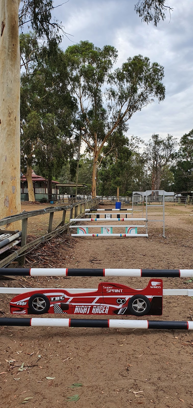 Forest Lake Riding School | 19 Greentree Cres, Forest Lake QLD 4078, Australia | Phone: 0419 246 002