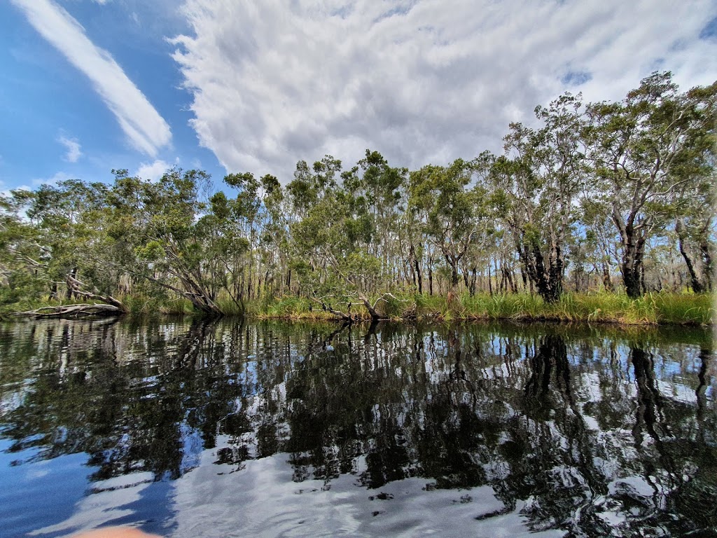 Everglades Eco Safaris | 204 Lake Flat Rd, Boreen Point QLD 4565, Australia | Phone: (07) 5485 3165