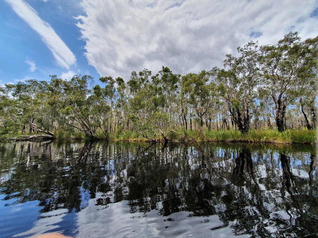 Everglades Eco Safaris |  | 204 Lake Flat Rd, Boreen Point QLD 4565, Australia | 0754853165 OR +61 7 5485 3165