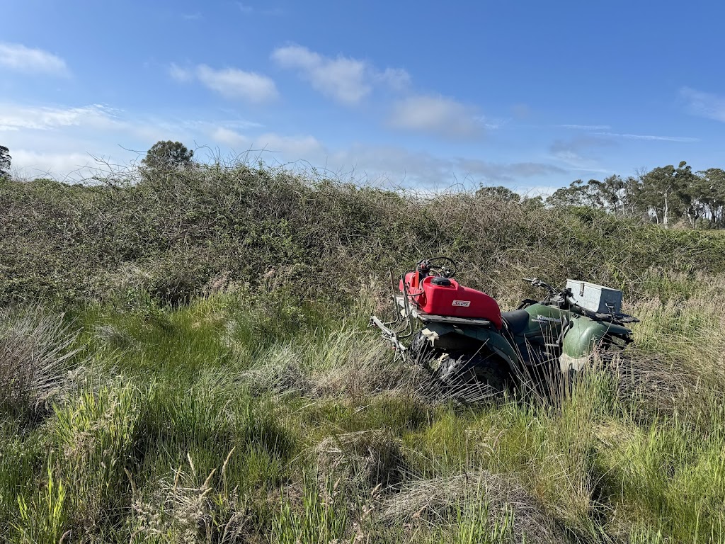 High Acre Agriculture | Wombeyan Caves Rd, High Range NSW 2575, Australia | Phone: 0473 101 757