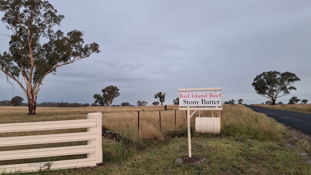 STONY BATTER Red Island Beef | 1548 Gwydir River Rd, Camerons Creek NSW 2359, Australia | Phone: 0417 733 181