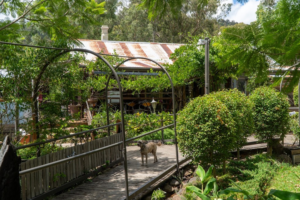 Long Neck Farm | 2006 Inverramsay Rd, Goomburra QLD 4362, Australia | Phone: 0437 726 494