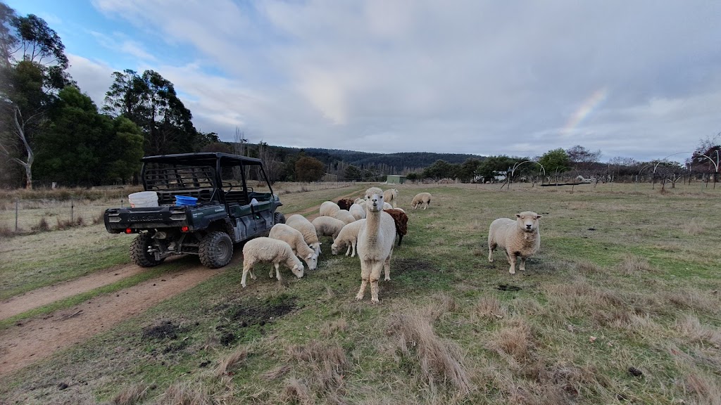 Hamlet Downs Country Hideaway | 54 Gully Rd, Fentonbury TAS 7140, Australia | Phone: (03) 6288 1212