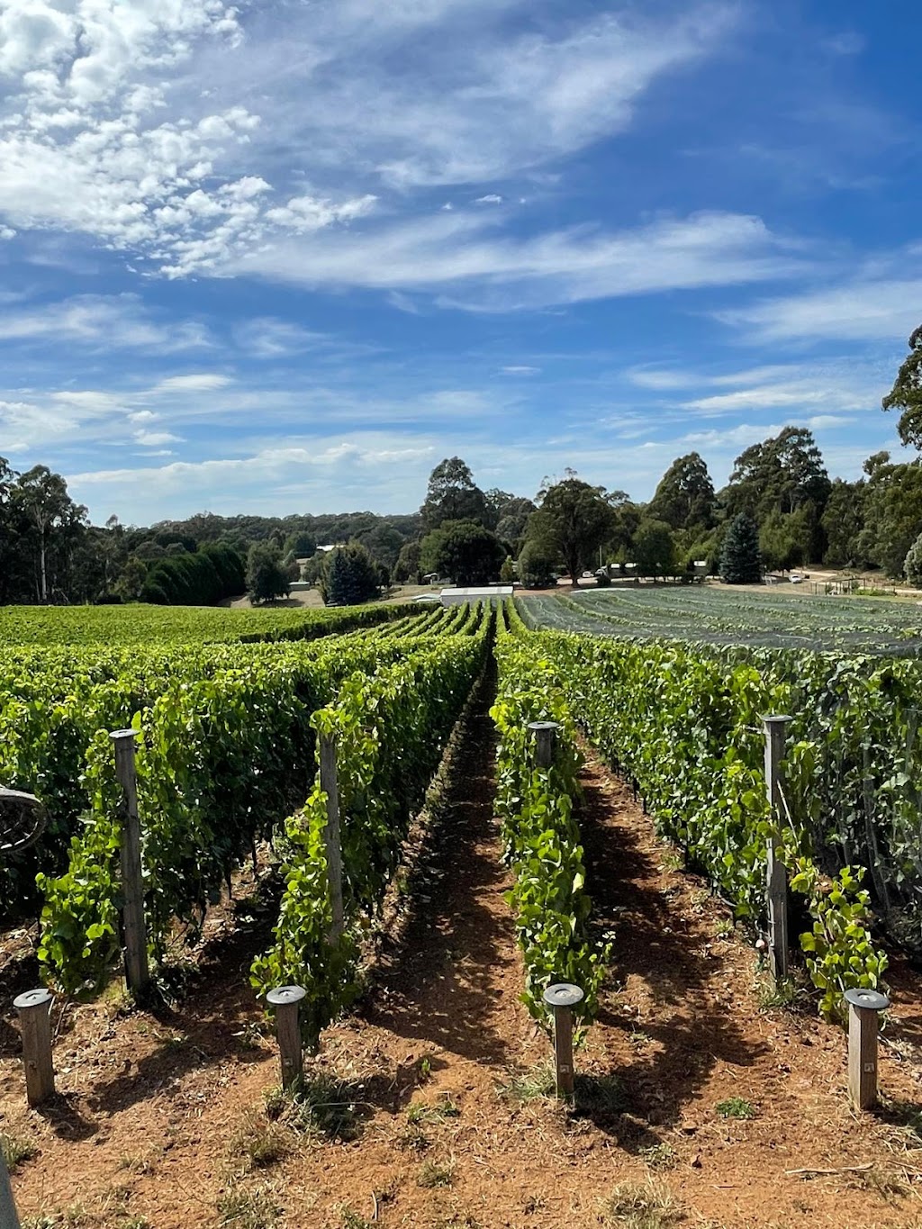 Clarries Track | 20 Donald Lane, Newbury VIC 3458, Australia | Phone: 0419 682 391