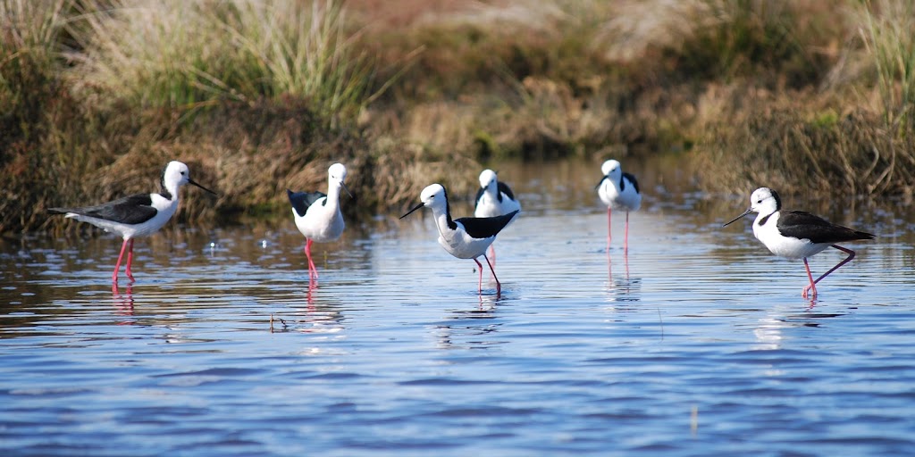 Waroona Visitor Centre & Gallery | art gallery | 37 S Western Hwy, Waroona WA 6215, Australia | 0897331506 OR +61 8 9733 1506