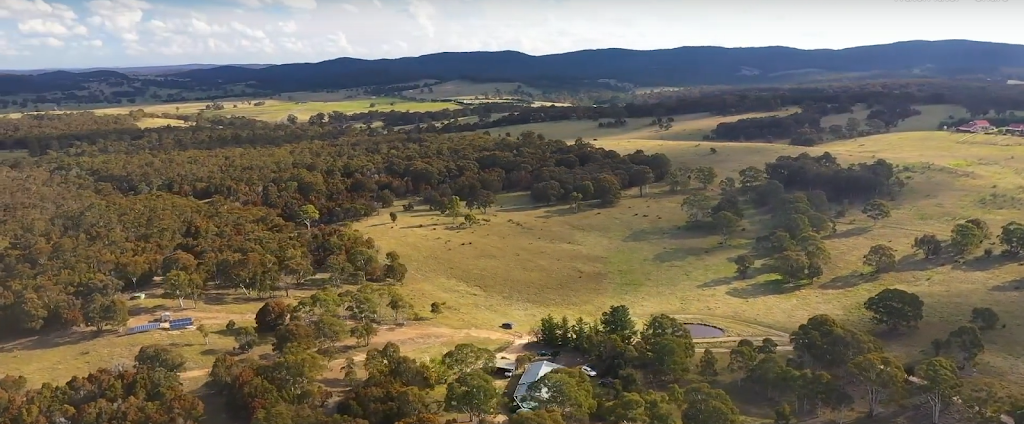 Buenpaso | 132 Perry La, Boxers Creek NSW 2580, Australia | Phone: 0405 470 808