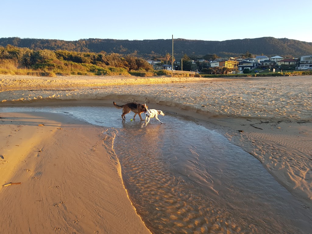 Bark at the Beach | park | Thirroul NSW 2515, Australia