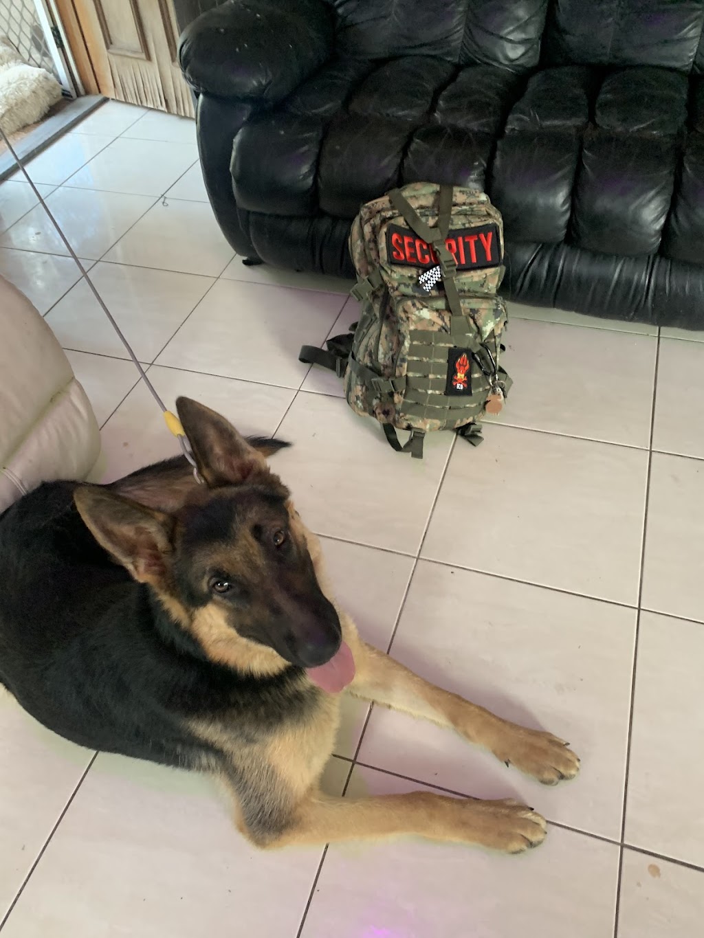 On Point K9 | Schillings Rd, Wulkuraka QLD 4305, Australia | Phone: 0410 513 254