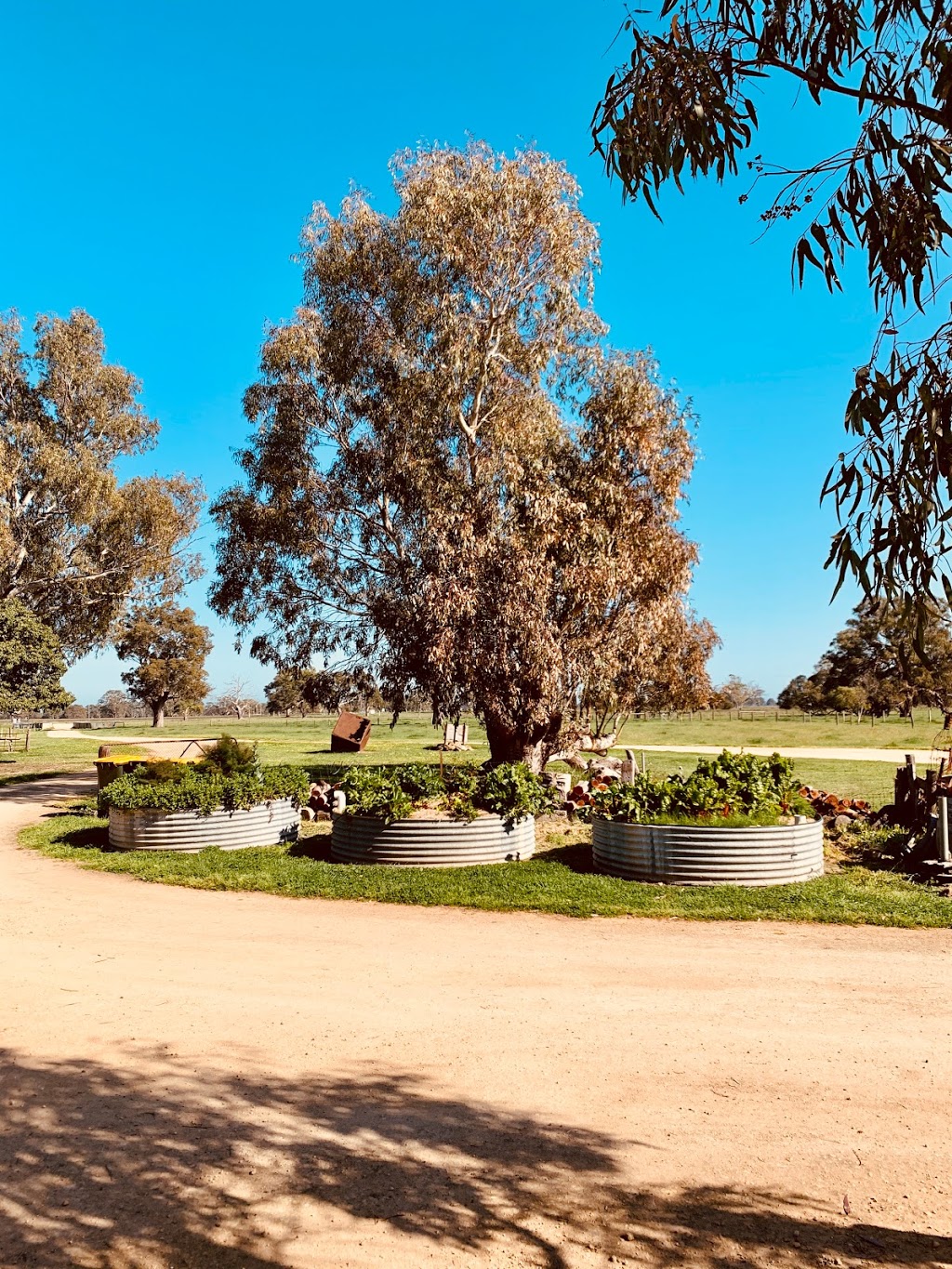 Bellwether Wines | tourist attraction | 14183 Riddoch Hwy, Coonawarra SA 5277, Australia | 0447334545 OR +61 447 334 545