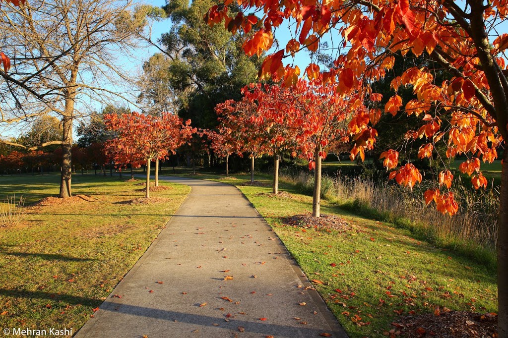 Cherry Tree Walk | Unnamed Road, Bowral NSW 2576, Australia