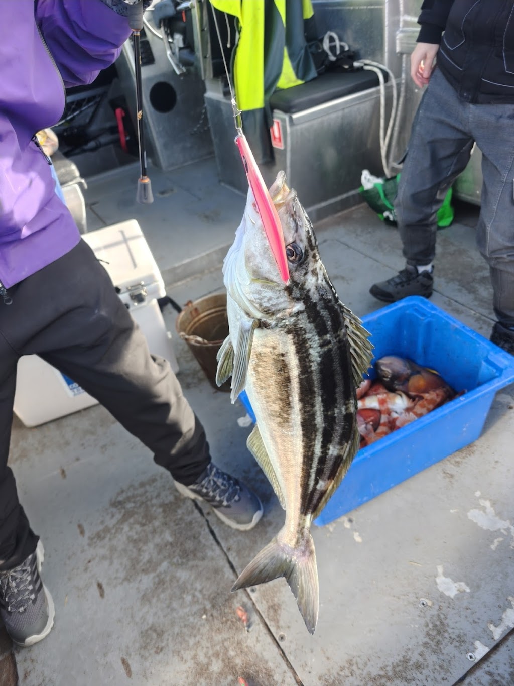 Eaglehawk Neck Fishing Charters Tasmania | Pirates Bay boat ramp, Eaglehawk Neck TAS 7179, Australia | Phone: 0439 617 200