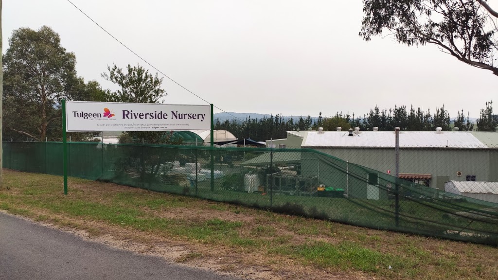 Riverside Nursery | 14 Taronga Cres, Bega NSW 2550, Australia | Phone: (02) 6492 4151