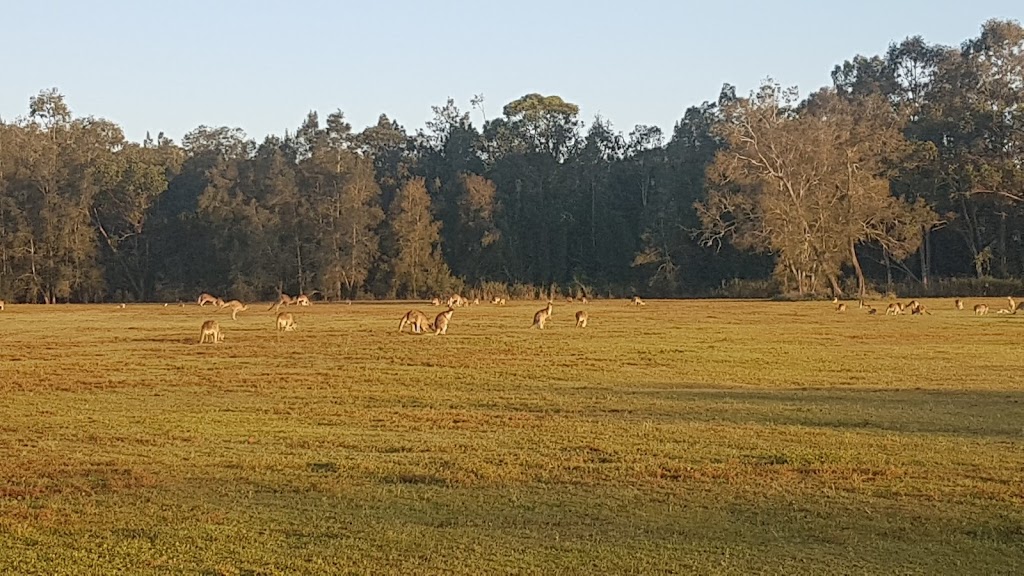 Koala Trail | park | Shelter Rd, Arundel QLD 4216, Australia